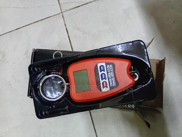 Electronic Hanging Scale
