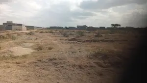 Prime Plots in Kitengela