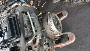 Engine ZD30 Caravans