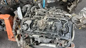 Engine ZD30 Caravans