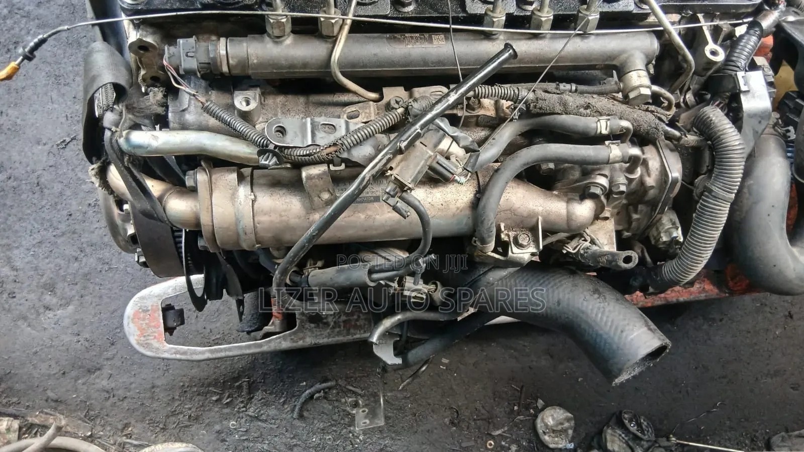 Engine ZD30 Caravans