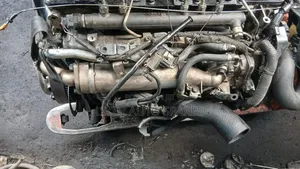 Engine ZD30 Caravans