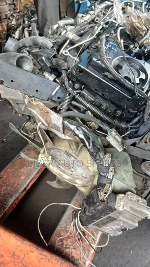 Engine ZD30 Caravans