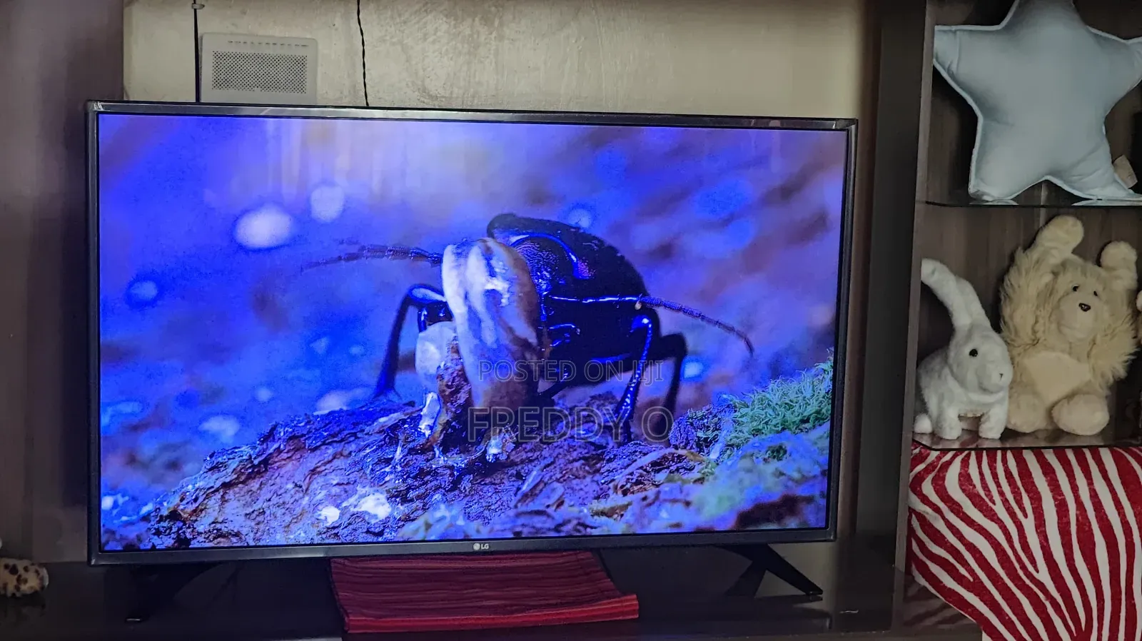 LG 43 Inch Smart TV