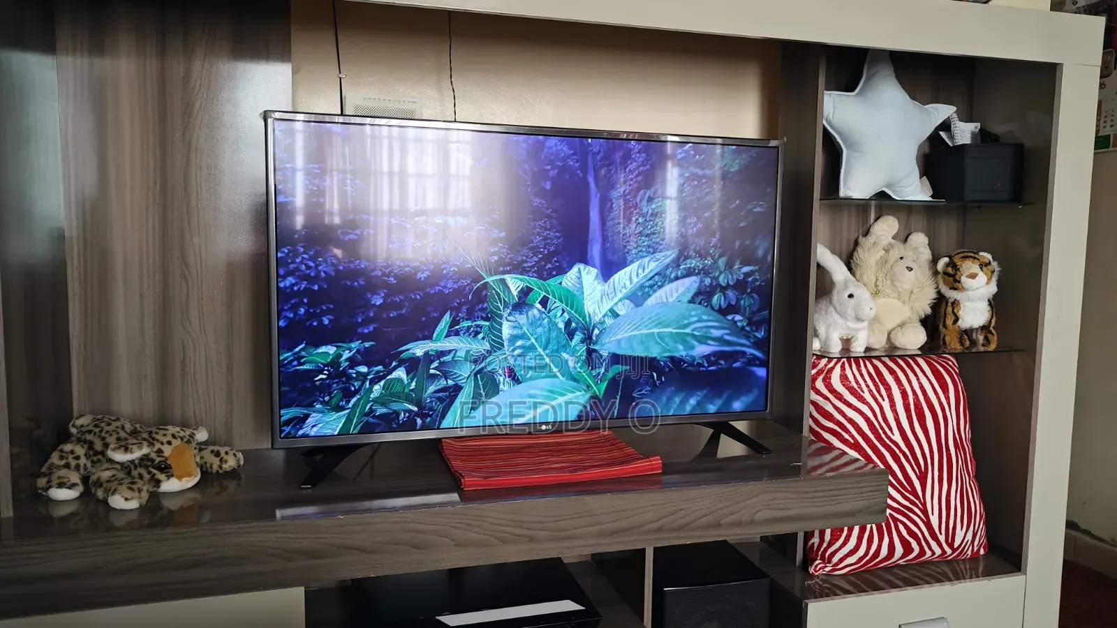 LG 43 Inch Smart TV