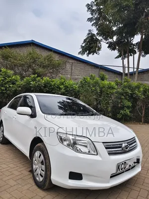Toyota Axio 2008 White