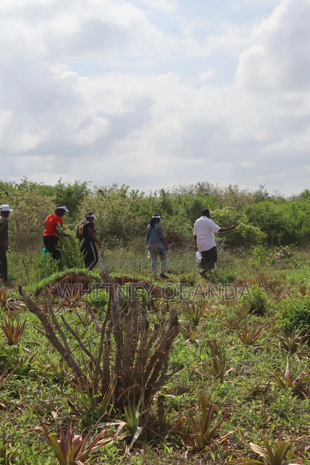 Malindi 50 by 100 Plots for sale.Call