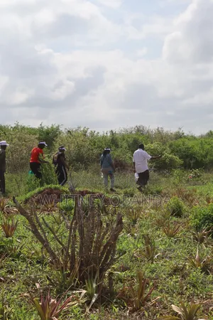 Malindi 50 by 100 Plots for sale.Call