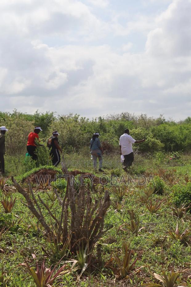Malindi 50 by 100 Plots for sale.Call - thumbnail 3