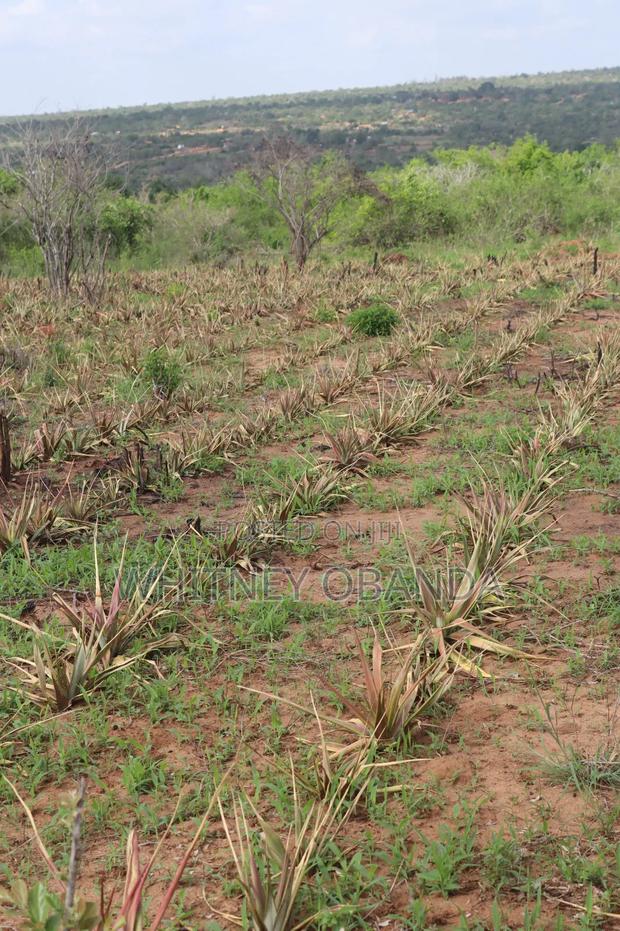 Malindi 50 by 100 Plots for sale.Call