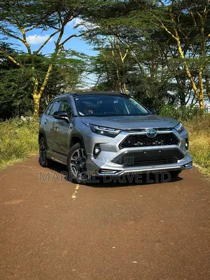 Toyota RAV4 Hybrid 2019 Silver