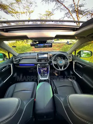 Toyota RAV4 Hybrid 2019 Silver