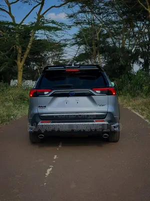 Toyota RAV4 Hybrid 2019 Silver