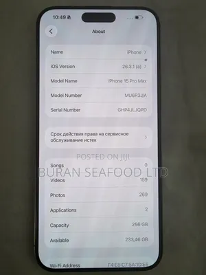 Apple iPhone 15 Pro Max 256 GB Silver