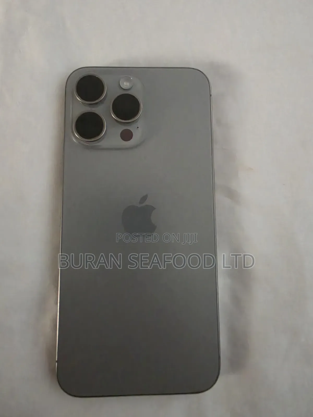 Apple iPhone 15 Pro Max 256 GB Silver