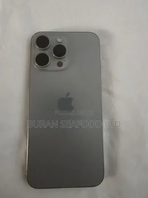 Apple iPhone 15 Pro Max 256 GB Silver