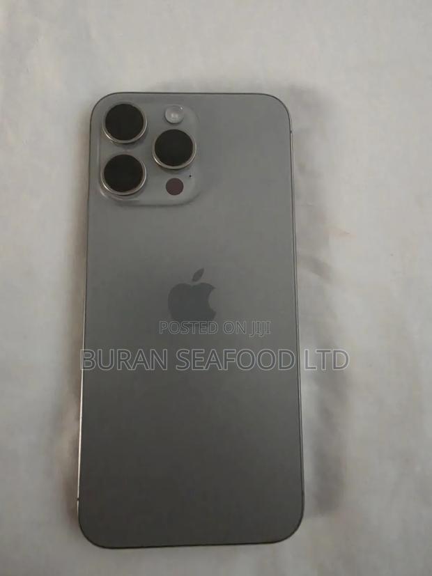 Apple iPhone 15 Pro Max 256 GB Silver - thumbnail 3