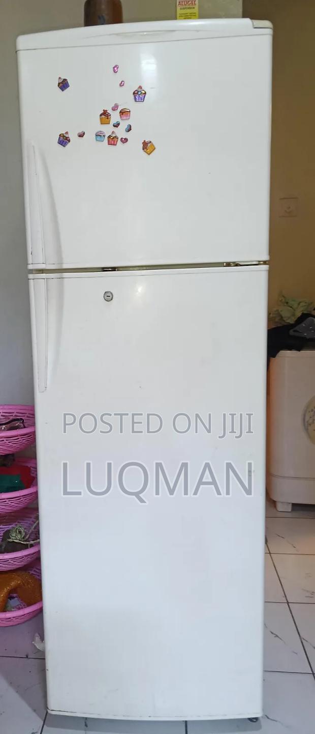 Double Door Fridge - main view