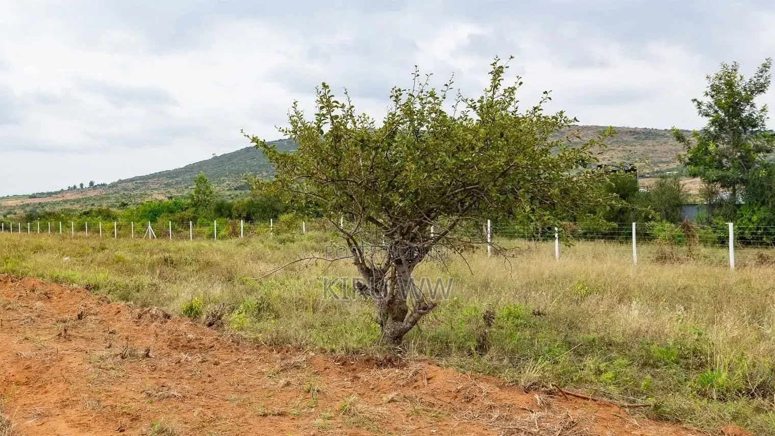 Lukenya Hills 50x100 Parcel