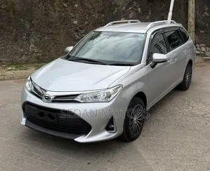 Toyota Corolla Fielder 2019 Silver