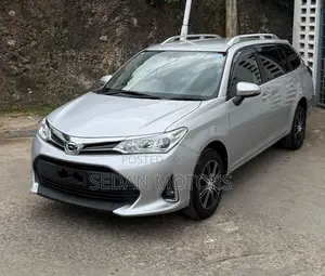 Toyota Corolla Fielder 2019 Silver