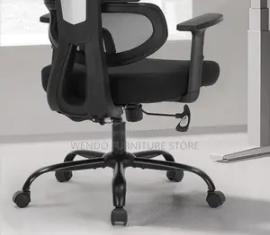 Office Chairs; Orthopedic Executive Office Chairs With Spine Support