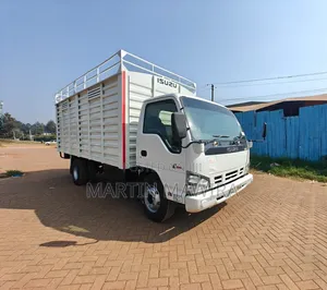 Isuzu NPR for Sale