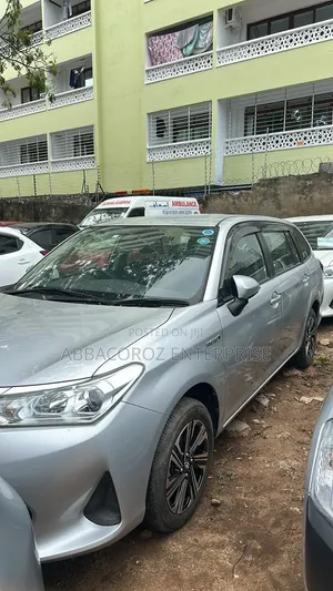 Toyota Corolla Fielder 2019 Silver