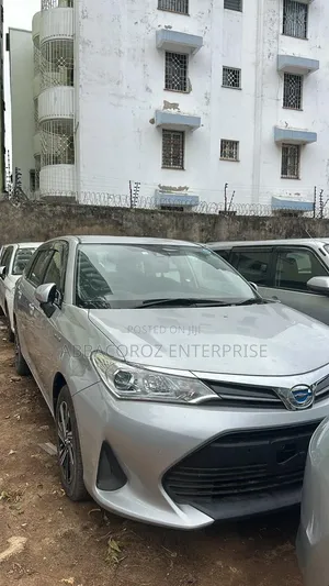 Toyota Corolla Fielder 2019 Silver