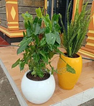 Fiber Pots