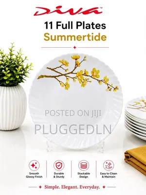 Size 11 Glass Plates Per Box 
6 Sets(36pcs)