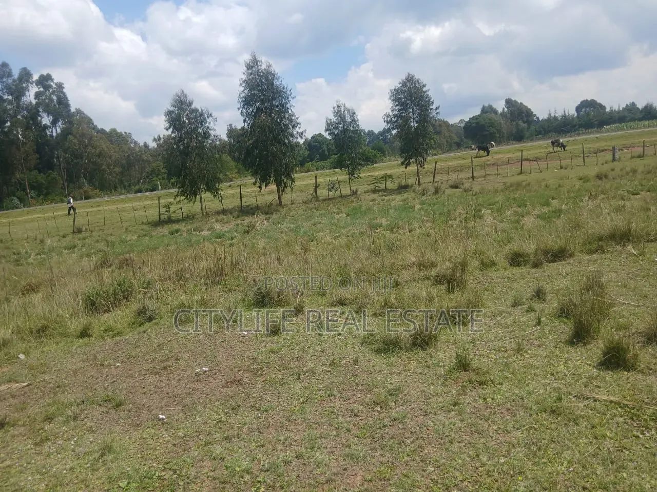 Nyandarua County,Kasuku 1 Acre Fronting Tarmac