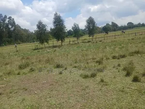 Nyandarua County,Kasuku 1 Acre Fronting Tarmac