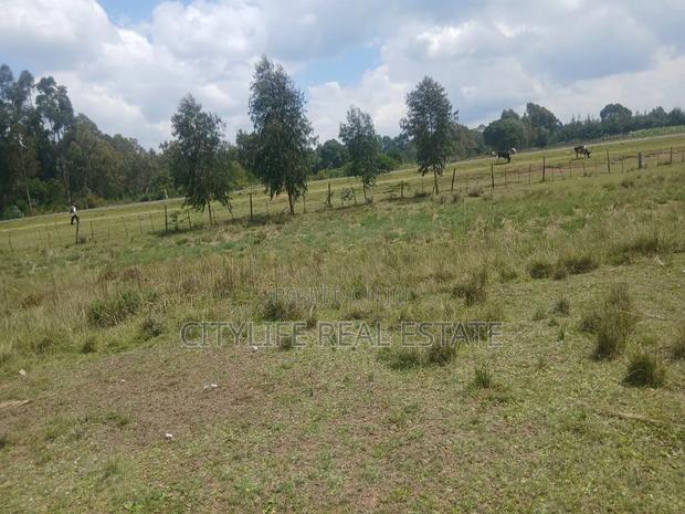 Nyandarua County,Kasuku 1 Acre Fronting Tarmac - thumbnail 2