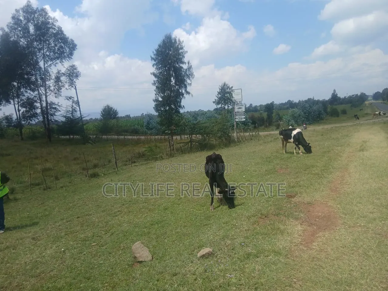 Nyandarua County,Kasuku 1 Acre Fronting Tarmac