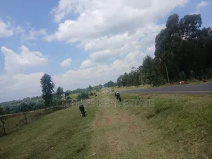 Nyandarua County,Kasuku 1 Acre Fronting Tarmac