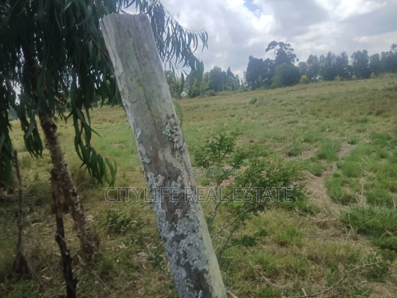 Nyandarua County,Kasuku 1 Acre Fronting Tarmac