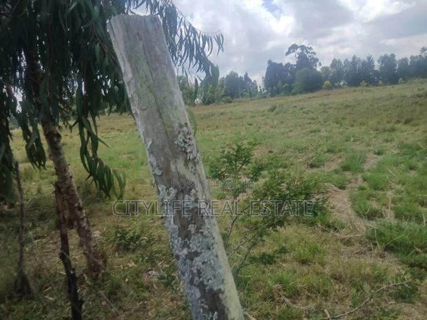 Nyandarua County,Kasuku 1 Acre Fronting Tarmac - thumbnail 7