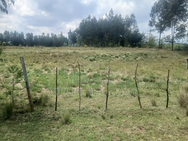 Nyandarua County,Kasuku 1 Acre Fronting Tarmac - thumbnail 8