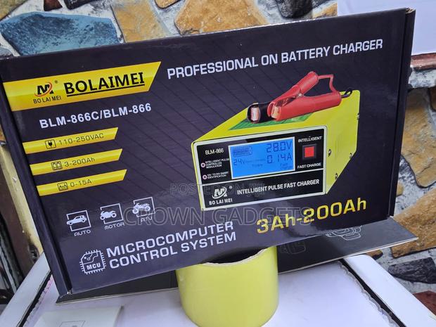 Bolaimei BLM-866C Automatic 12V 24V Battery Charger - thumbnail 3