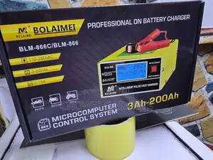 Bolaimei BLM-866C Automatic 12V 24V Battery Charger