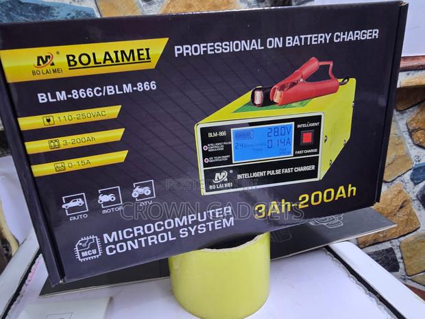 Bolaimei BLM-866C Automatic 12V 24V Battery Charger - thumbnail 2