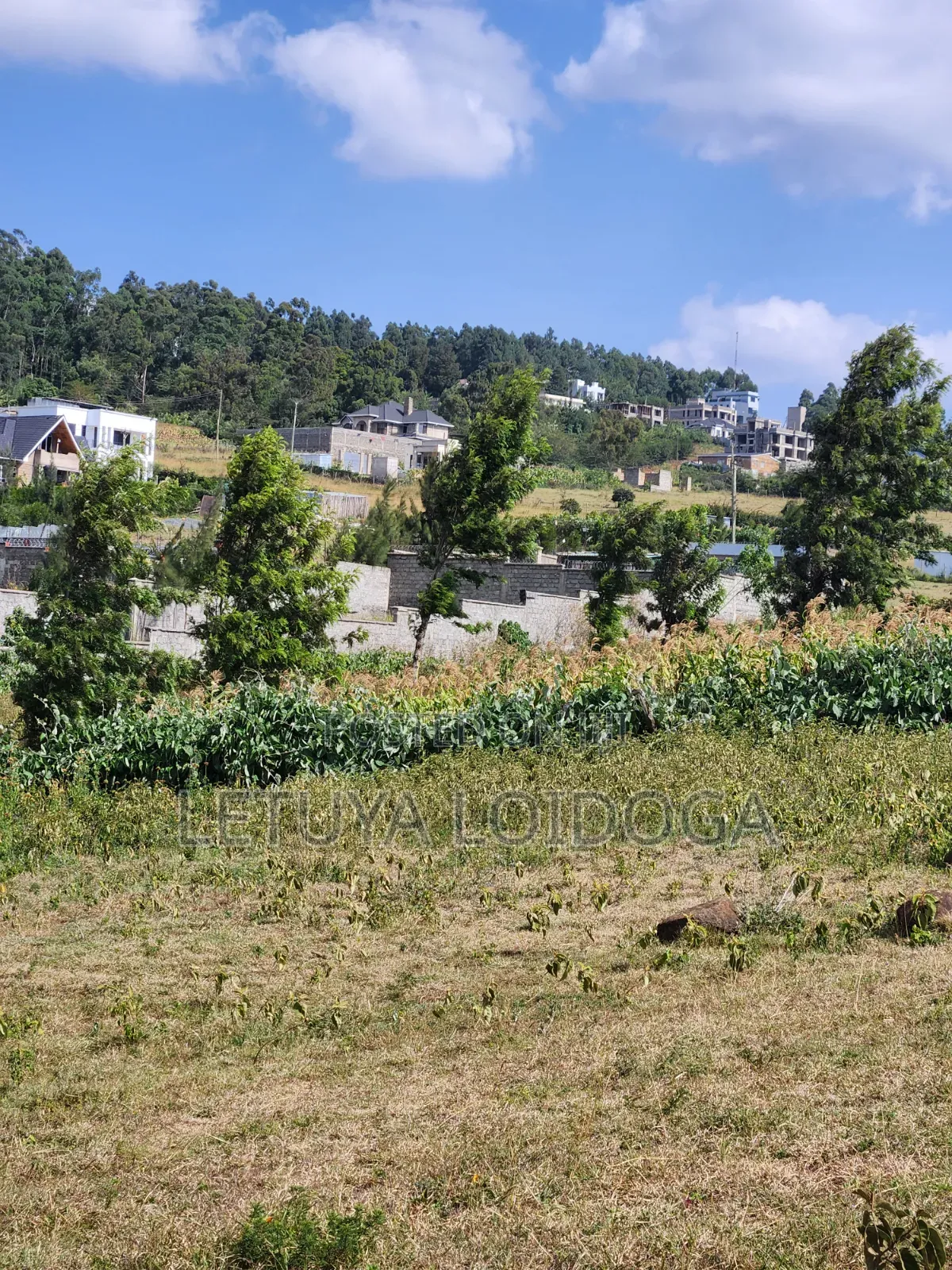 1⁄8 Acre Plots Ngong-Kibiko(windyridge)