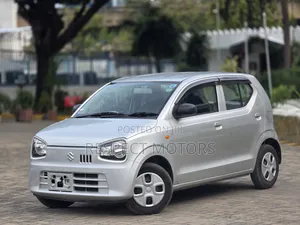Suzuki Alto 2019 Silver