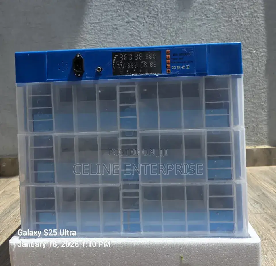 256 Capacity Poultry Egg Incubator AC/DC