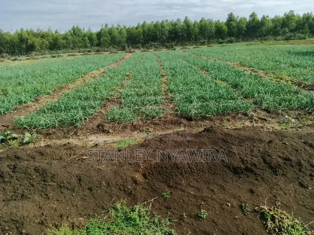 100 Acrea Daragwa Nyahururu Nyeri Highway