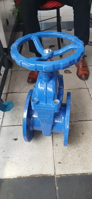 6 Inch Sluice Valve