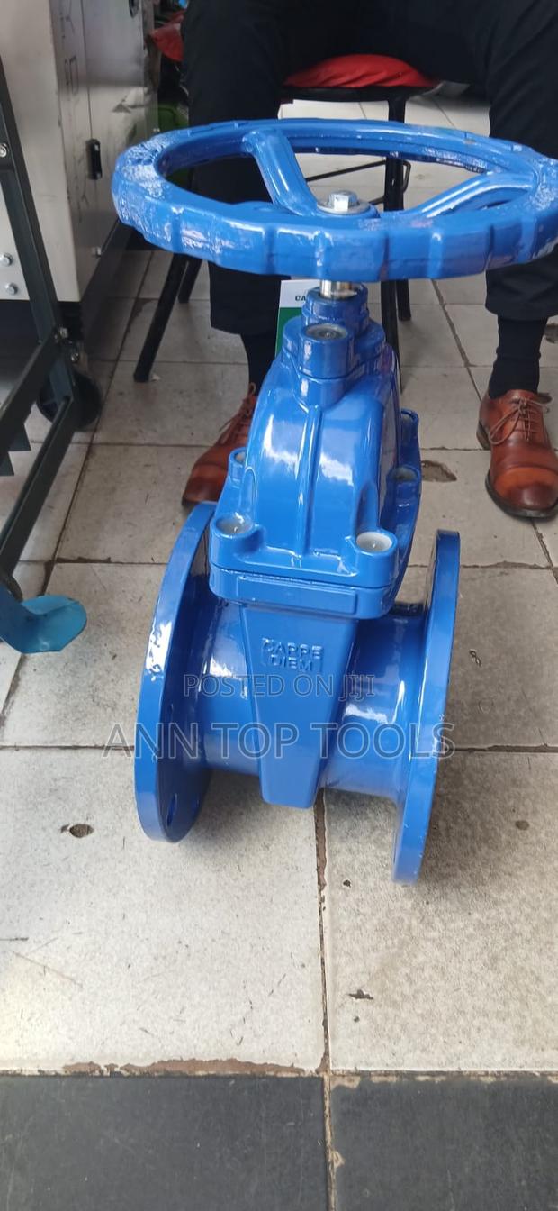 6 Inch Sluice Valve - thumbnail 2