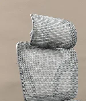 Office Chairs; Orthopedic Executive Chair With Footrest in White