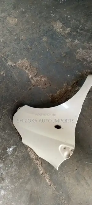 Suzuki Alto Wing/Fender 2010